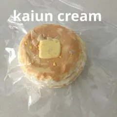 Kaiun Cream スクイーズ パンケーキ ホットケーキ