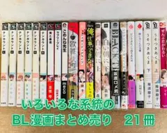 いろいろな系統のBL漫画　まとめ売り21冊