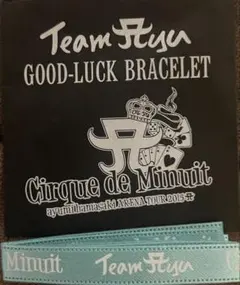 浜崎あゆみ　TeamAyu Good-Luck Bracelet 2015