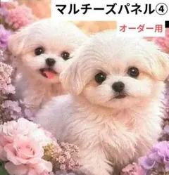 マルチーズパネル生地④　ハンドメイドオーダー用
