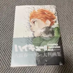 ハイキュー！！ Complete illustration Book