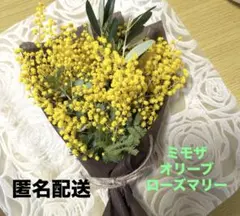 ♡可愛いミモザ＆オリーブ＆ローズマリーのブーケ♡ ハンドメイド　本日採取