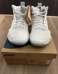 バッシュ 26.5
