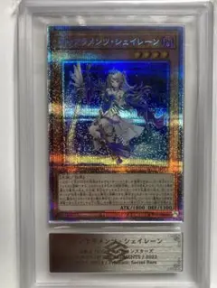 【PSA10】遊戯王 ティアラメンツシェイレーン プリズマ プリシク 遊戯王 ティアラメンツシェイレーン プリズマ プリシク PSA10
