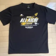 Item thumbnail for item a8263f4b-3a88-4dca-ab78-f73b4a34353b