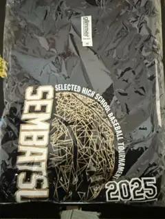 沖縄尚学　選抜　2025 Tシャツ M