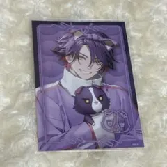 渡会雲雀 Pajama party ブロマイド パジャマパーティー ポストカード