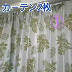 ①葉柄　ドレープカーテ2枚セットのうちの1枚