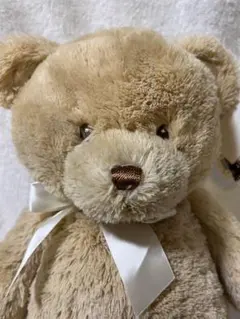 マイ 1st テディベア タン M GUND