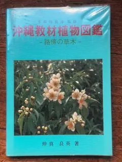 Item thumbnail for item 82aac902-53fe-4f3e-954f-be570d8c9f26