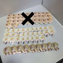 定価半額以下 バニーガーデン 限定缶バッジ 書き下ろし 花奈 77個×2