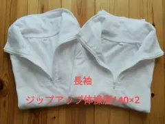 Item thumbnail for item 955df1a3-1c3f-4241-9a39-11664e856a4f