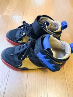 Item thumbnail for item 14513045-27ca-49e4-a393-eee4d7f179b6