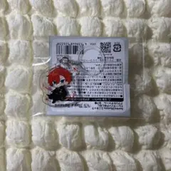 ビバレン　fun4re タイヨウ めじるしアクリルチャーム