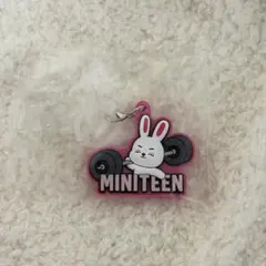 MINITEEN めじるしチャーム エスクプス