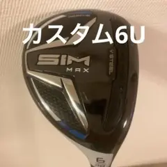 SIM MAX ユーティリティ 6U 28°