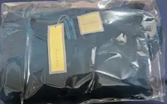 Item thumbnail for item 612d1c29-d6f2-465d-ba06-59b9cf0adba0