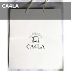 Item thumbnail for item 75dcc8f0-bb8a-490b-afbc-6dcb0f91ea0b