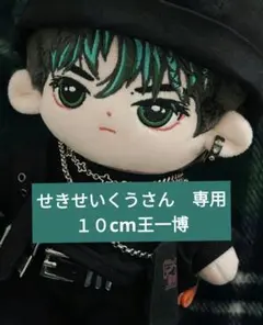 せきせいくうさん　専用　yibo yibo