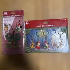 ディズニーリゾート クリスマス