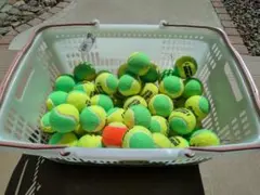 Item thumbnail for item cc77228b-0003-46aa-be78-c839bbb85ea2