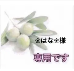 ⭐️ ❀はな❀様専用です⭐️
