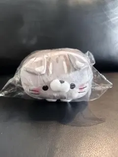 もちふわ！ ころころにゃんこ 八重山 石垣島 限定 いりおもてやまねこ