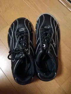 Item thumbnail for item 42bc1d09-859f-4658-b7a4-40c64703116f