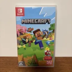 Minecraft Nintendo Switch