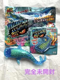 ジンベイザメ　くじらアタック　アンドコWHALEATTACK&co