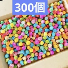642ドライフラワー千日紅染色ミックスカラー３５０輪以上