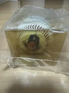 1995年オールスターゲーム記念ボール 野茂英雄 限定5000個