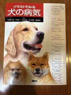イラストでみる犬の病気