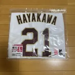 Item thumbnail for item 4b7d7227-943c-430d-a894-64da7b813599