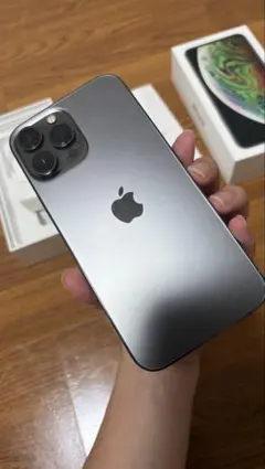 Apple iPhone 12ProMax 256GB グラファイト