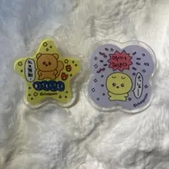 チェゴシム アクリルクリップ ダイソー セリア
