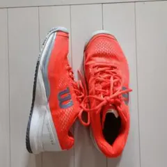 Item thumbnail for item 85784170-7a8b-4f34-8fcb-2a6c740bb457