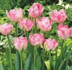 【プロフ必読】様 リクエスト 2点 まとめ商品