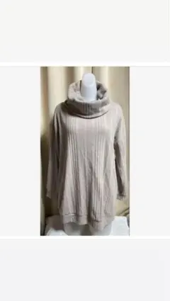 レディース　トップス　アース ミュージック ＆ エコロジー