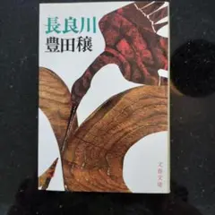 長良川 豊田穣