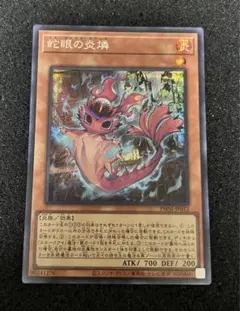 遊戯王 蛇眼の炎燐 スリーブ（30 pcs）x2セット アジア限定 遊戯王 蛇眼の炎燐 スリーブ（30 pcs）x2セット アジア限定