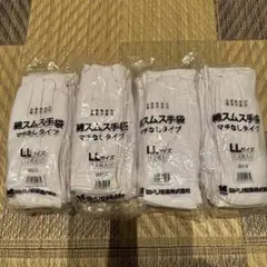 Item thumbnail for item 50da229a-bbb9-4125-b349-7dacab34a0be