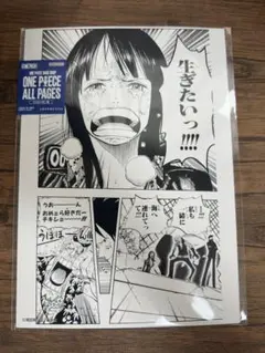 ONE PIECE ALL PAGES ロビン 3枚＋ペーパー ONE PIECE ALL PAGES ロビン 3枚＋ペーパー - メルカリ