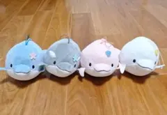新品　未使用　タグ付き　ぬいぐるみ　みいるか 3994-002672.jpg