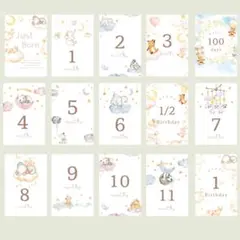 Item thumbnail for item 12c2b66f-dfc6-400e-abbf-e4ab45ff0c16