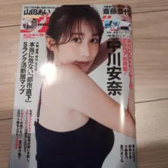 週刊プレイボーイ　 No.36 中川安奈　特製ピンナップ