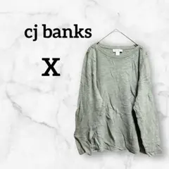 cj banks 【X】 オリーブグリーン ストライプ 長袖Tシャツ