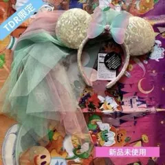 新品★TDR限定☆ベール付きオーロラカチューシャ★グラデーション☆バタフライ