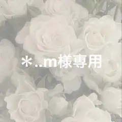 ＊..m様 リクエスト 2点 まとめ商品