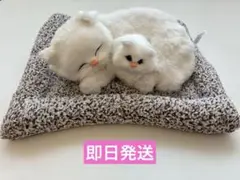 新品 親子ねこ ぬいぐるみセット ふわふわ 猫 インテリア プレゼント